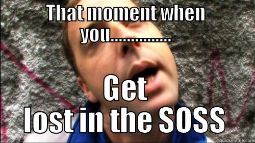 Lost in the Soss...... - THAT MOMENT WHEN YOU............... GET LOST IN THE SOSS Misc