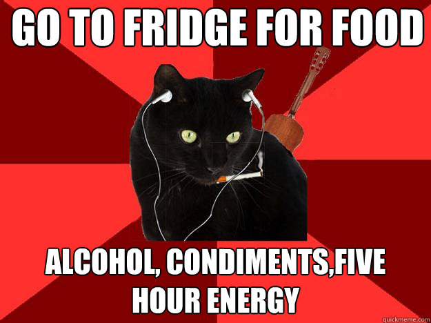 Go to fridge for food alcohol, condiments,five hour energy  Berklee Cat