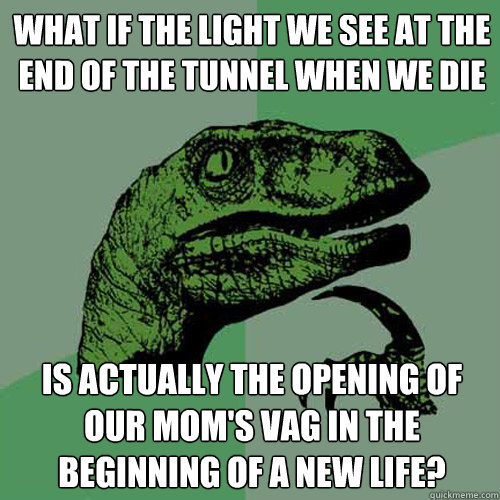 What if the light we see at the end of the tunnel when we die Is actually the opening of our mom's vag in the beginning of a new life?  Philosoraptor