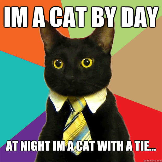 im a cat by day at night im a cat with a tie...  Business Cat