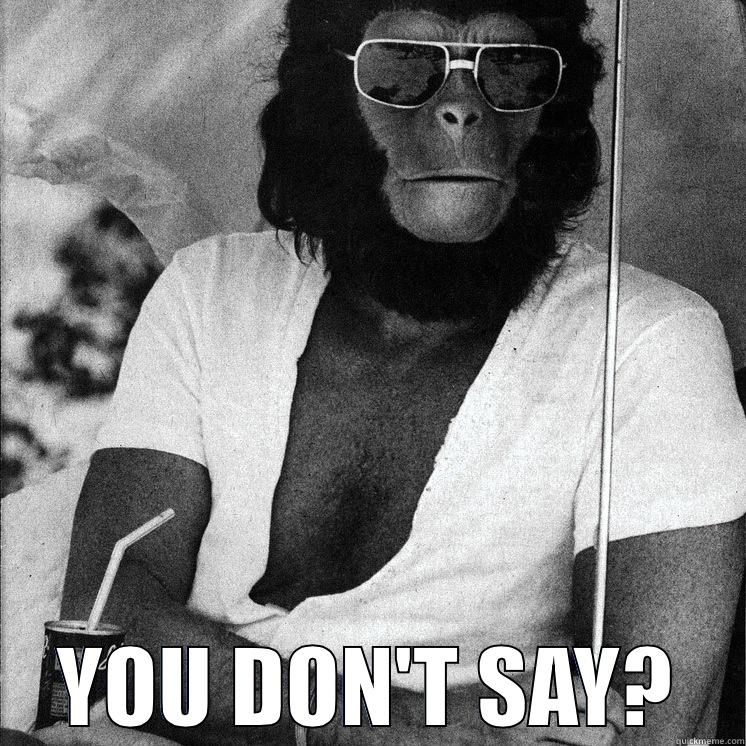 YOU DON'T SAY APE -  YOU DON'T SAY? Misc