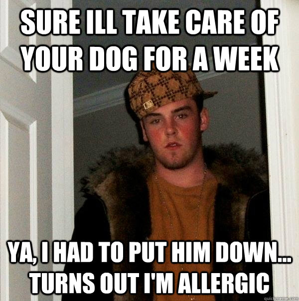 sure ill take care of your dog for a week ya, i had to put him down... turns out I'm allergic  Scumbag Steve