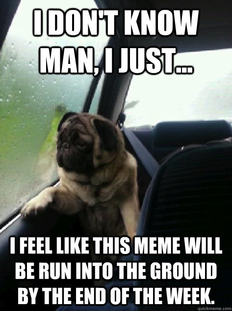 I don't know man, I just... i feel like this meme will be run into the ground by the end of the week.  Introspective Pug