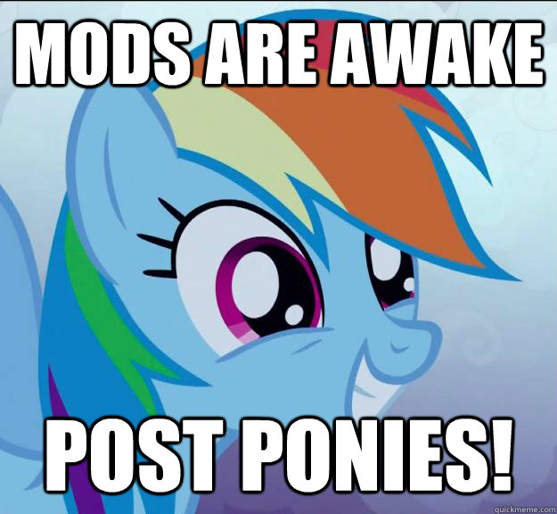 Mods are awake post ponies!  Rainbow Dash DO WANT