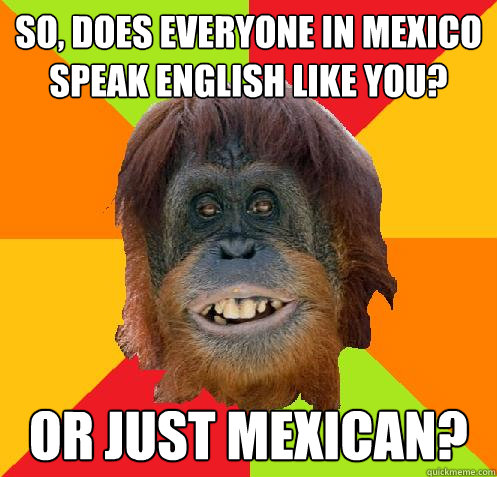 So, does everyone in mexico speak english like you? or just mexican?  Culturally Oblivious Orangutan