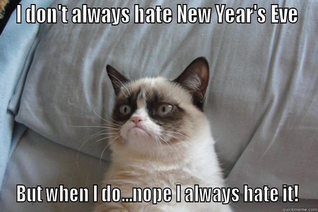 I DON'T ALWAYS HATE NEW YEAR'S EVE BUT WHEN I DO...NOPE I ALWAYS HATE IT! Grumpy Cat