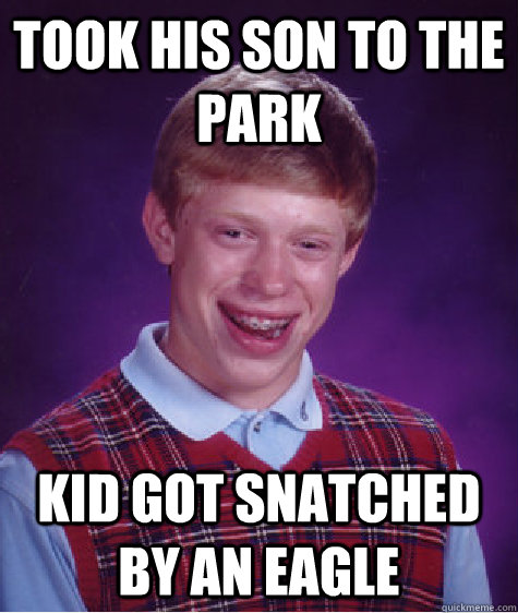 took his son to the park kid got snatched by an eagle  Bad Luck Brian