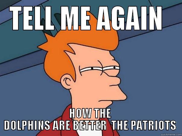 TELL ME AGAIN  HOW THE DOLPHINS ARE BETTER  THE PATRIOTS Futurama Fry