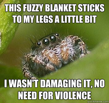 this fuzzy blanket sticks to my legs a little bit i wasn't damaging it, no need for violence  Misunderstood Spider