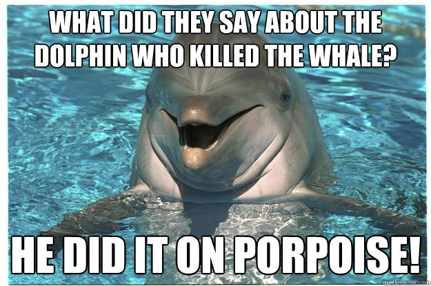 what did they say about the dolphin who killed the whale? He did it on porpoise! - what did they say about the dolphin who killed the whale? He did it on porpoise!  Passive Aggressive Porpoise