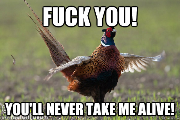 Fuck You! You'll Never Take Me Alive! - Fuck You! You'll Never Take Me Alive!  Pheasant