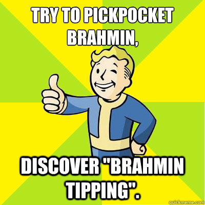 Try to pickpocket brahmin, Discover 