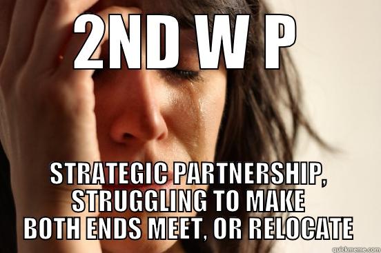 2ND W P STRATEGIC PARTNERSHIP, STRUGGLING TO MAKE BOTH ENDS MEET, OR RELOCATE First World Problems