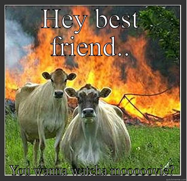 Mooovie time - HEY BEST FRIEND.. YOU WANNA WATCHA MOOOOOVIE? Evil cows