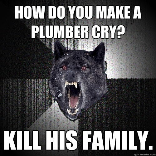 how do you make a plumber cry? kill his family.  Insanity Wolf