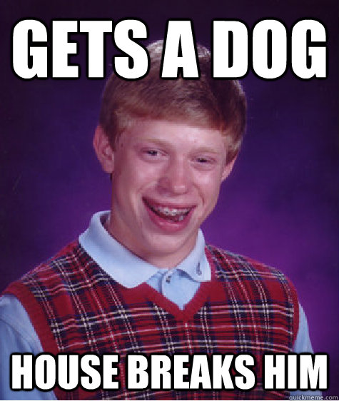 Gets a dog house breaks him - Gets a dog house breaks him  Bad Luck Brian