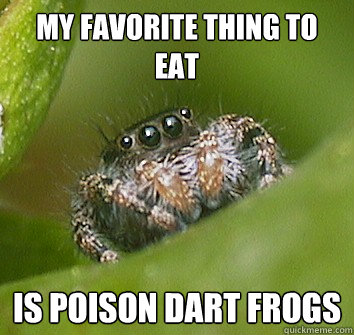 My favorite thing to eat is poison dart frogs  Misunderstood Spider