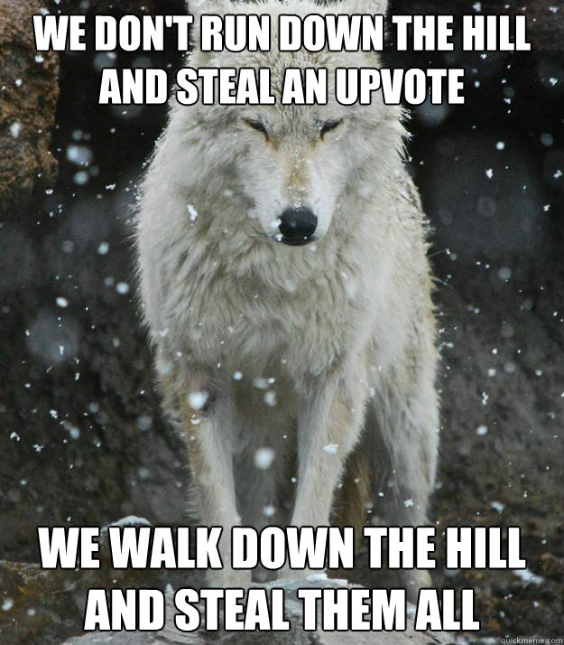 we don't run down the hill and steal an upvote we walk down the hill and steal them all - we don't run down the hill and steal an upvote we walk down the hill and steal them all  wise wolf