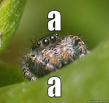 aaad sa dasa -  A  A Misunderstood Spider