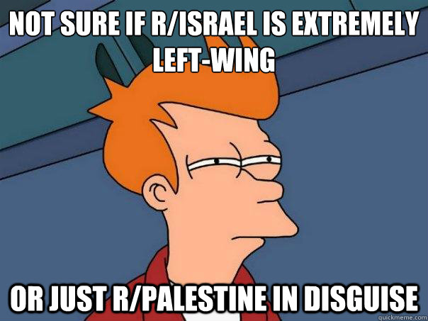 Not sure if r/israel is extremely
left-wing or just r/palestine in disguise  Futurama Fry