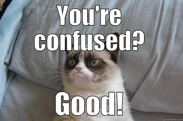 YOU'RE CONFUSED? GOOD! Grumpy Cat