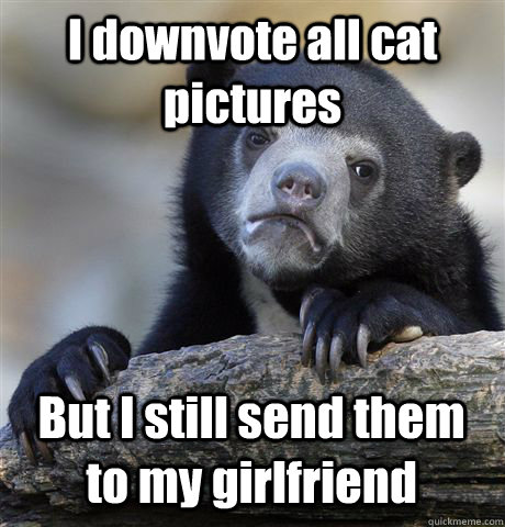 I downvote all cat pictures But I still send them to my girlfriend  Confession Bear