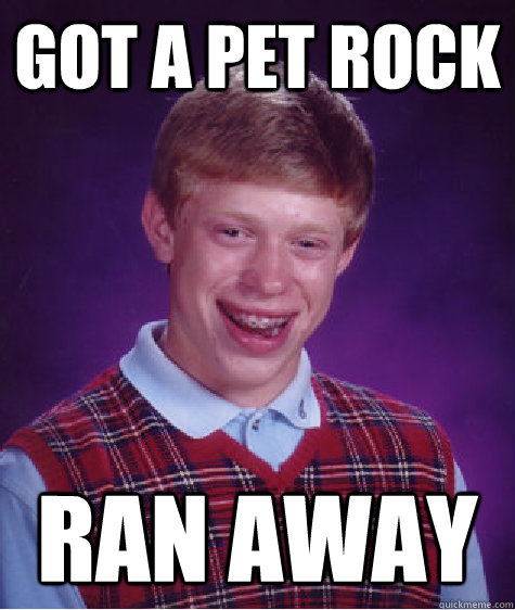 Got a Pet Rock ran away - Got a Pet Rock ran away  Bad Luck Brian