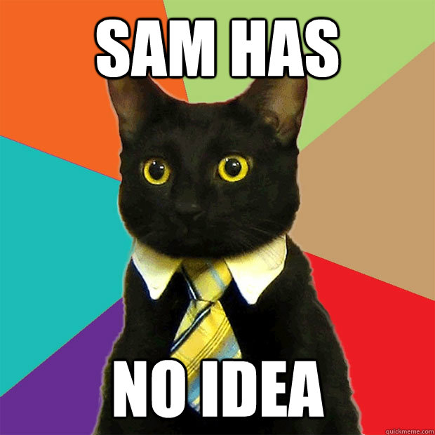 SAM HAS no idea  Business Cat