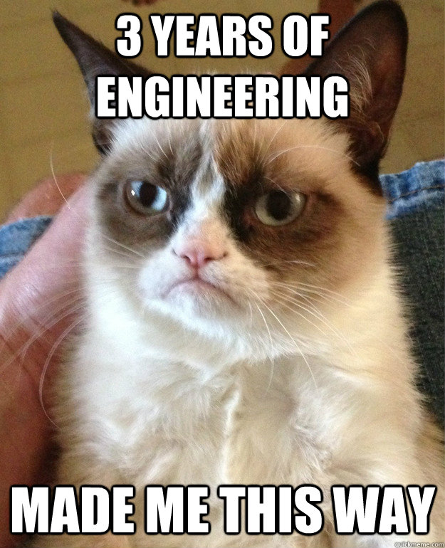 3 years of engineering  made me this way  Grumpy Cat