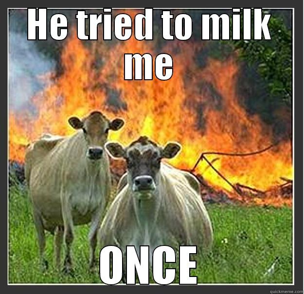 HE TRIED TO MILK ME ONCE Evil cows