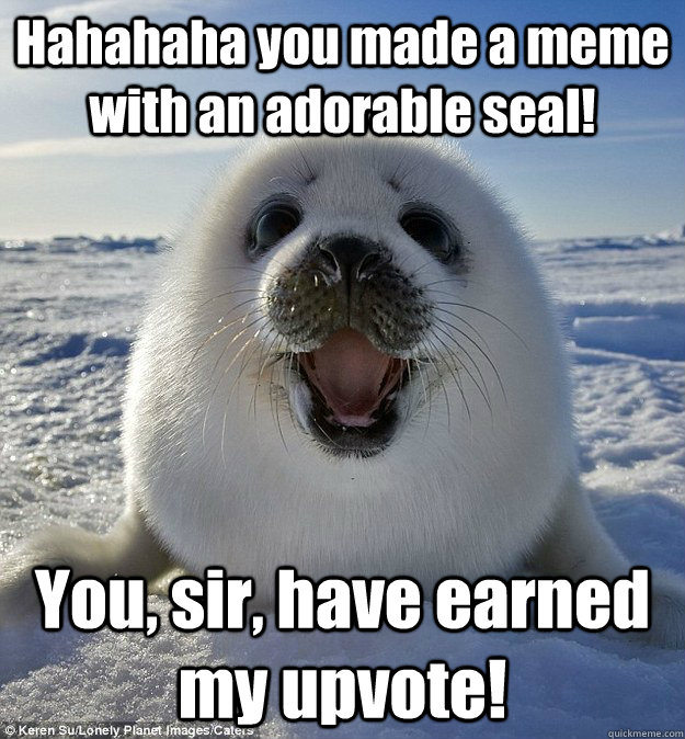 Hahahaha you made a meme with an adorable seal! You, sir, have earned my upvote! - Hahahaha you made a meme with an adorable seal! You, sir, have earned my upvote!  Easily Pleased Seal