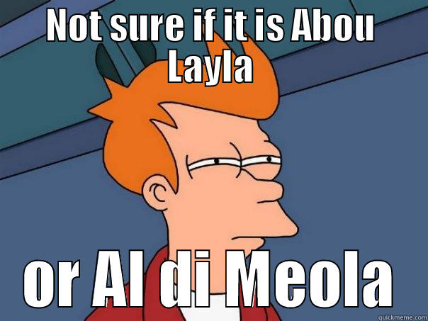 NOT SURE IF IT IS ABOU LAYLA OR AL DI MEOLA Futurama Fry