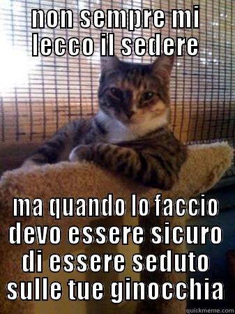 NON SEMPRE MI LECCO IL SEDERE MA QUANDO LO FACCIO DEVO ESSERE SICURO DI ESSERE SEDUTO SULLE TUE GINOCCHIA The Most Interesting Cat in the World