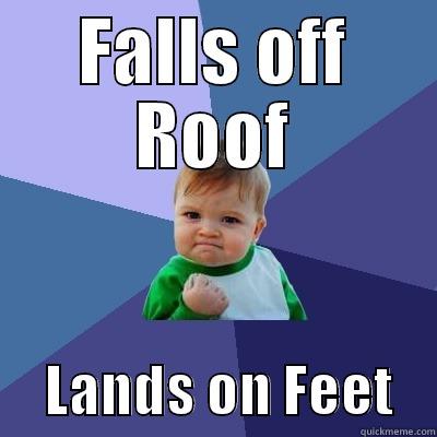 Hedgehog Gutterbrush - FALLS OFF ROOF      LANDS ON FEET    Success Kid