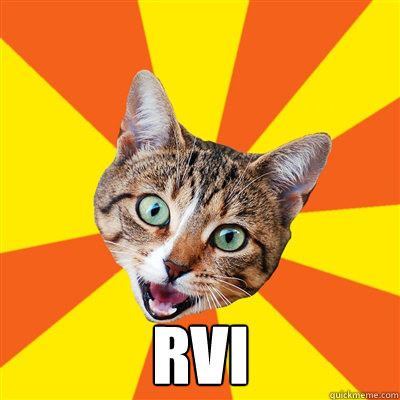  rvi  Bad Advice Cat