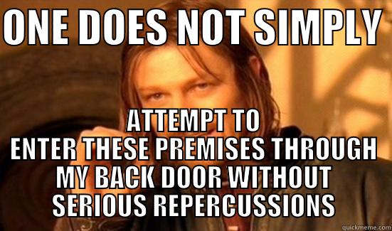 ONE DOES NOT SIMPLY  ATTEMPT TO ENTER THESE PREMISES THROUGH MY BACK DOOR WITHOUT SERIOUS REPERCUSSIONS Boromir