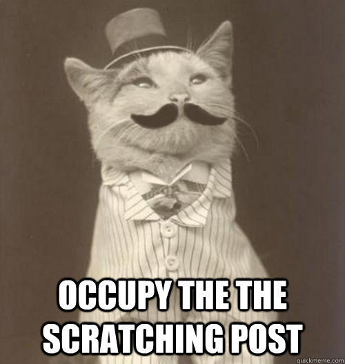  Occupy the the scratching post  Original Business Cat