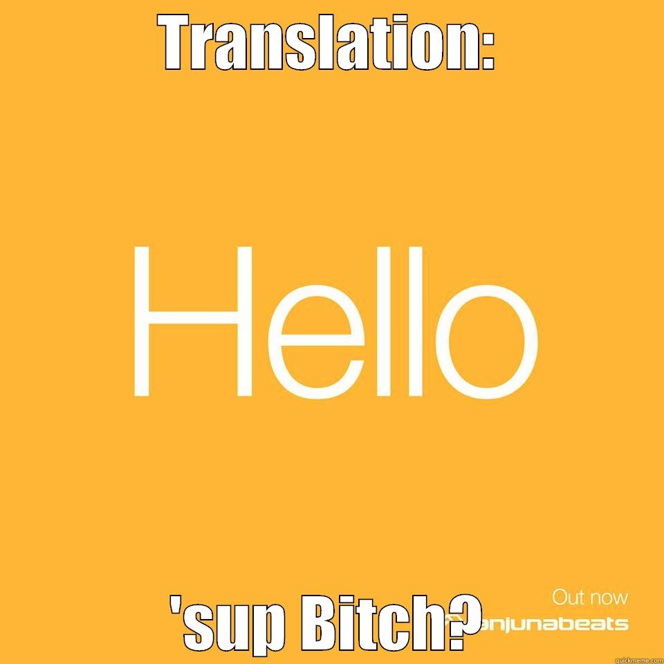 hello substitutions - TRANSLATION: 'SUP BITCH? Misc