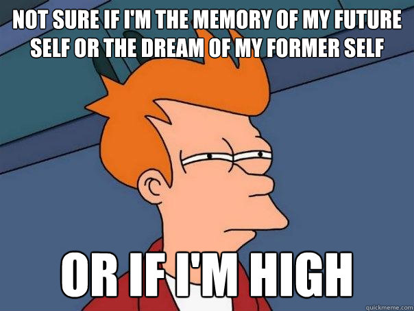 Not sure if I'm the memory of my future self or the dream of my former self or if I'm high - Not sure if I'm the memory of my future self or the dream of my former self or if I'm high  Futurama Fry