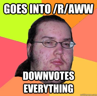 Goes into /r/aww downvotes everything - Goes into /r/aww downvotes everything  Butthurt Dweller