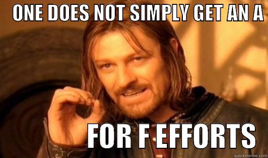 Grading Teachers  -    ONE DOES NOT SIMPLY GET AN A                   FOR F EFFORTS  Boromir