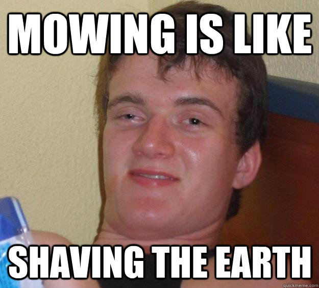 Mowing is like Shaving the earth - Mowing is like Shaving the earth  10 Guy