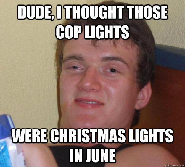 Dude, I thought those cop lights were Christmas lights in June  10 Guy