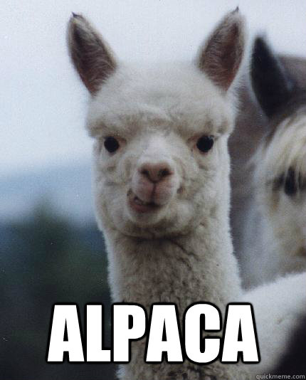  Alpaca -  Alpaca  Misc