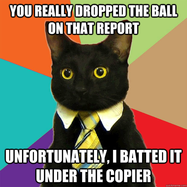 you really dropped the ball on that report unfortunately, i batted it under the copier  Business Cat