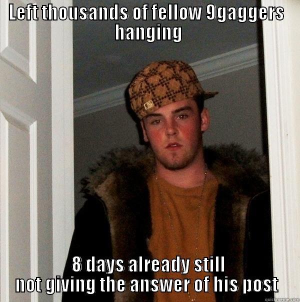 LEFT THOUSANDS OF FELLOW 9GAGGERS  HANGING 8 DAYS ALREADY STILL NOT GIVING THE ANSWER OF HIS POST  Scumbag Steve