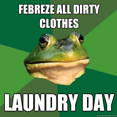 Febreze all dirty clothes laundry day  Foul Bachelor Frog