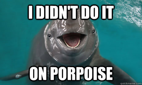 i didn't do it on porpoise  