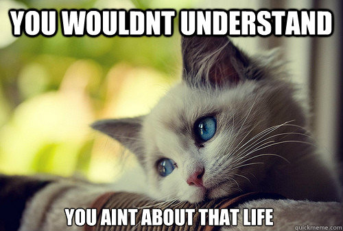 YOU WOULDNT UNDERSTAND YOU AINT ABOUT THAT LIFE  First World Problems Cat