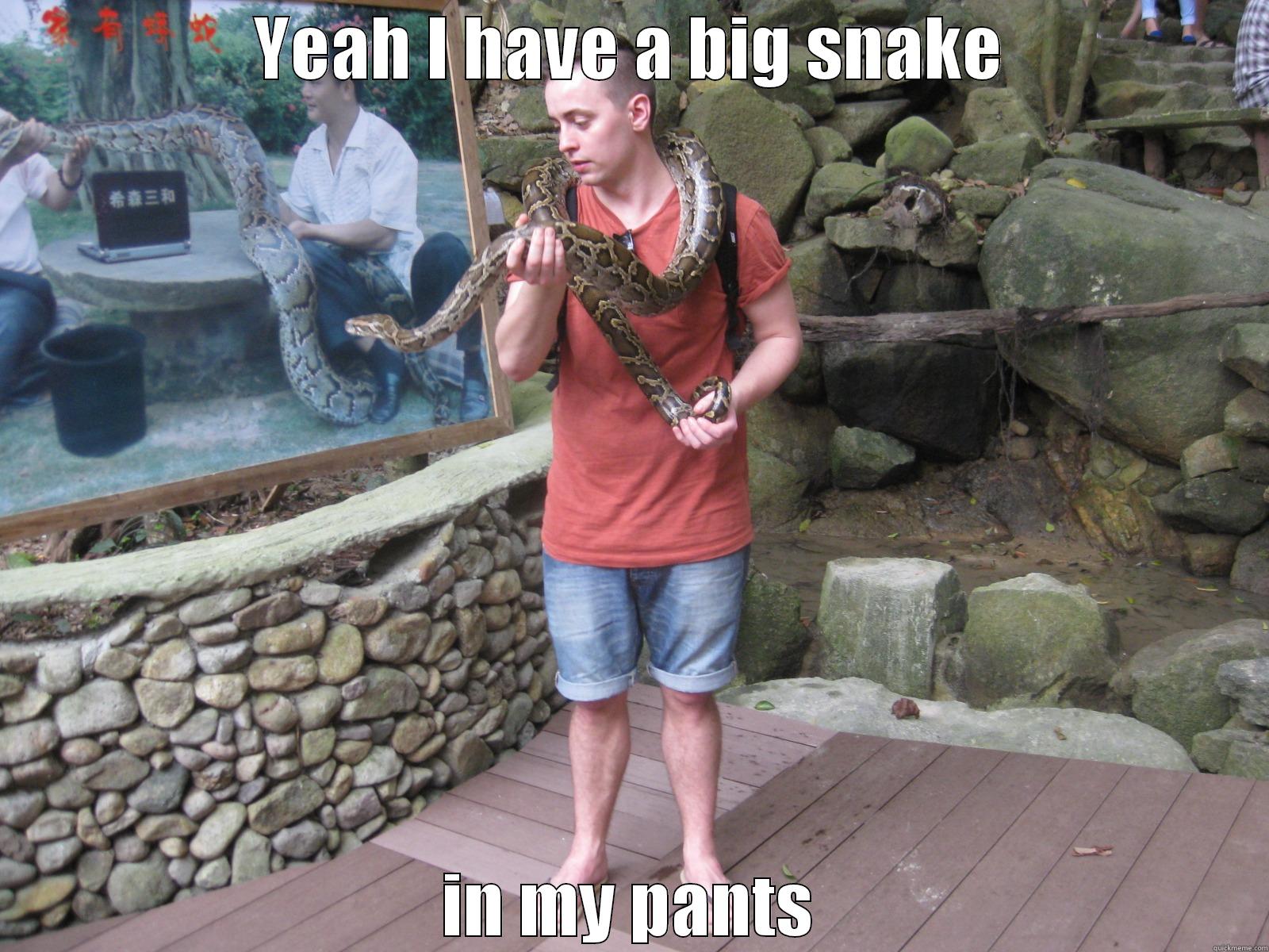 YEAH I HAVE A BIG SNAKE IN MY PANTS Misc